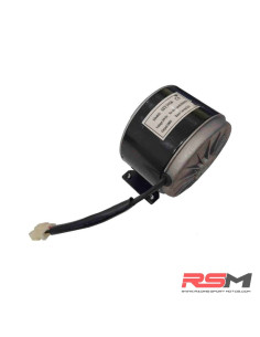 MOTOR 24V 100W BICICLETA ELECTRICA IMR