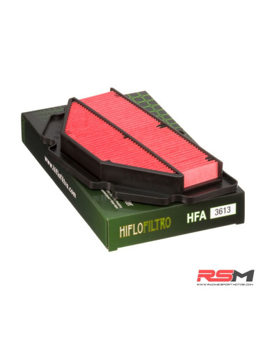 Filtro de Aire Hiflofiltro HFA3613