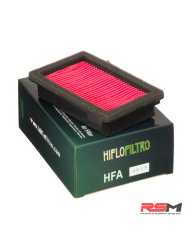 Filtro de Aire Hiflofiltro HFA4613