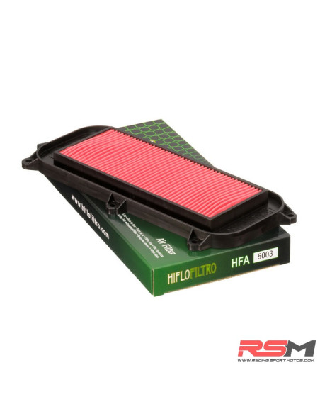 FILTRO DE AIRE HIFLOFILTRO HFA5003