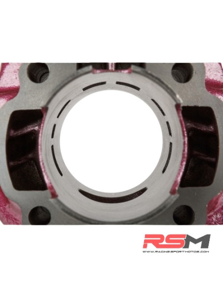 CILINDRO TOP PERFORMANCE ROSA DUE PLUS 70CC MINARELLI HORIZONTAL LC