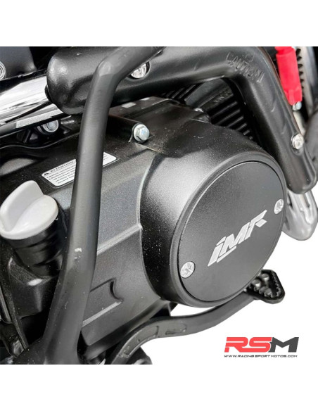 copy of IMR COPA ALEVIN RS90