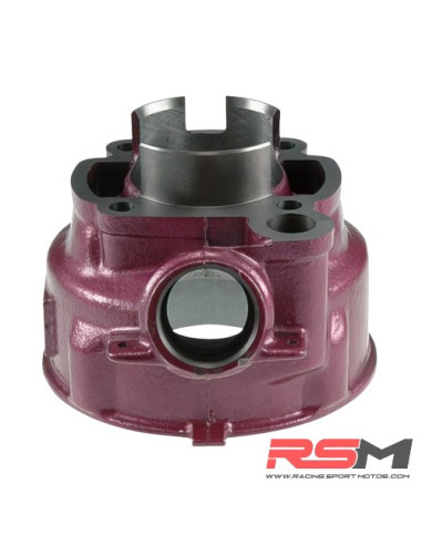 CILINDRO TOP PERFORMANCE ROSA DUE PLUS 74CC MINARELLI AM6