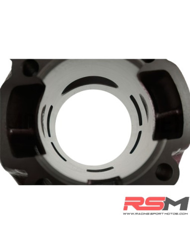 CILINDRO TOP PERFORMANCE ROSA DUE PLUS 74CC MINARELLI AM6