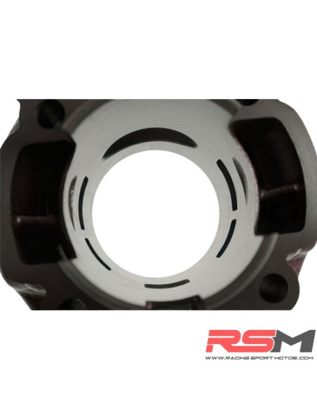 CILINDRO TOP PERFORMANCE ROSA DUE PLUS 74CC MINARELLI AM6