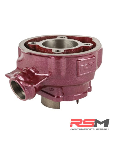 CILINDRO TOP PERFORMANCE ROSA DUE PLUS 74CC MINARELLI AM6 CULATA MODULAR