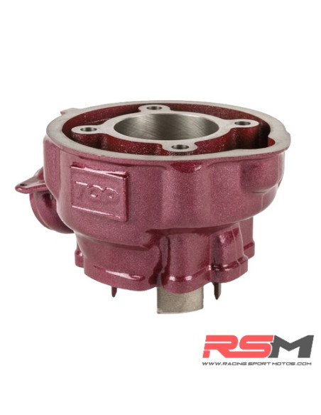 CILINDRO TOP PERFORMANCE ROSA DUE PLUS 74CC MINARELLI AM6 CULATA MODULAR