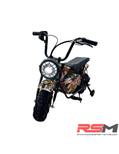 copy of BICICLETA ELECTRICA NIÑO 100W 12" IMR ¡2,6 Amperios!