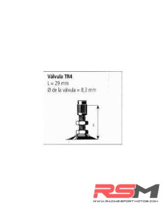 copy of CAMARA MICHELIN 2.75/17 2