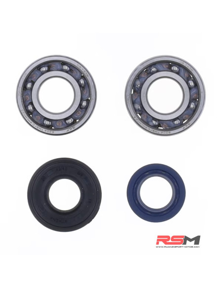 copy of Kit de rodamientos y retenes de cabeza de biela HOT RODS K001
