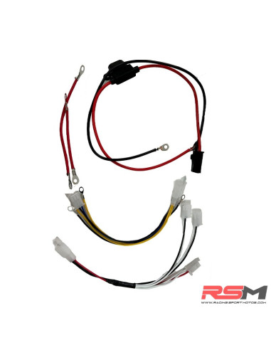 INSTALACION MINIQUAD ELÉCTRICO 1000W IMR BULL