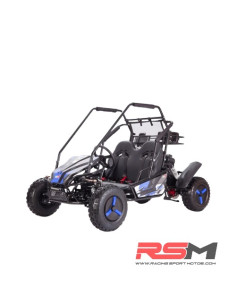 copy of BUGGY INFANTIL 125CC 4T BIPLAZA (Rojo)