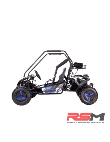 copy of BUGGY INFANTIL 125CC 4T BIPLAZA (Rojo)