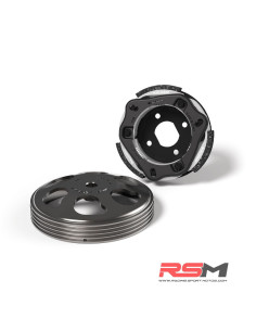 copy of EMBRAGUE TIPO ORIGINAL MINARELLI / PIAGGIO / PEUGEOT 107MM ALLPRO