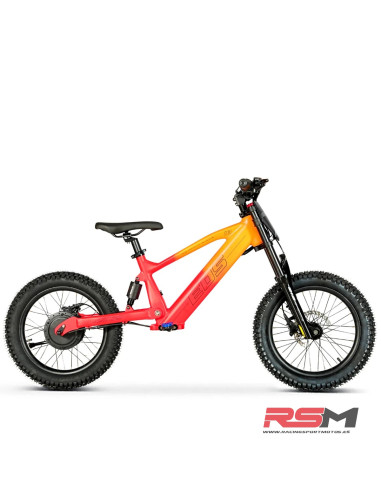 copy of BICICLETA ELECTRICA SHARK 20" 550W IMR
