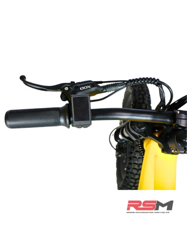 BICICLETA ELECTRICA 18" 550W EOS