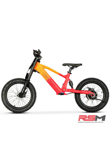 copy of BICICLETA ELECTRICA SHARK 20" 550W IMR