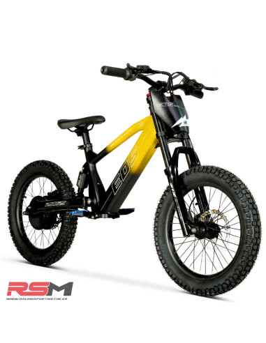 BICICLETA ELECTRICA 18" 550W EOS