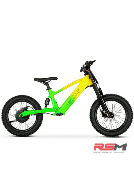 copy of BICICLETA ELECTRICA SHARK 20" 550W IMR