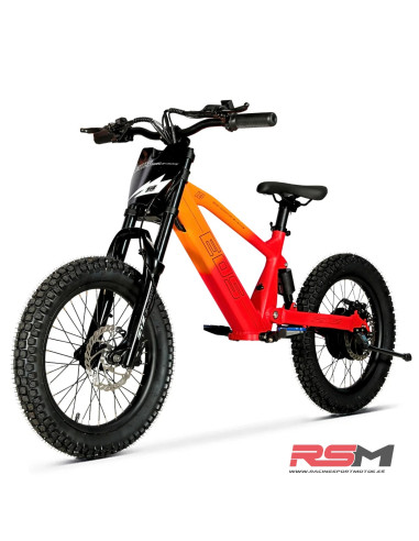 copy of BICICLETA ELECTRICA SHARK 20" 550W IMR