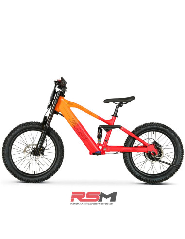 BICICLETA ELECTRICA 20" 750W EOS PRO 48V 10.5Ah
