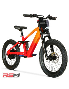 copy of BICICLETA ELECTRICA SHARK 20" 550W IMR 2