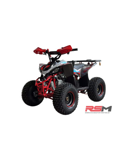copy of MINIQUAD IMR WR3 VENOM 125CC 3+R
