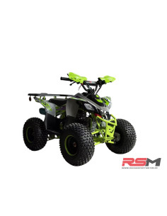 copy of MINIQUAD IMR WR3 VENOM 125CC 3+R 2