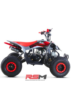 copy of MINIQUAD IMR WR3 VENOM 125CC 3+R