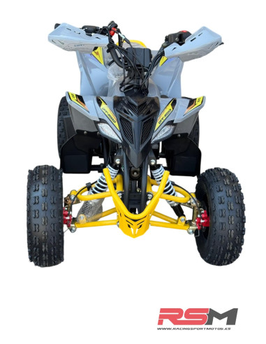 copy of MINIQUAD IMR WR3 VENOM 125CC 3+R