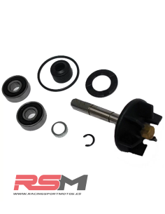 copy of KIT REPARACIÓN BOMBA AGUA MINARELLI HORIZONTAL METRAKIT