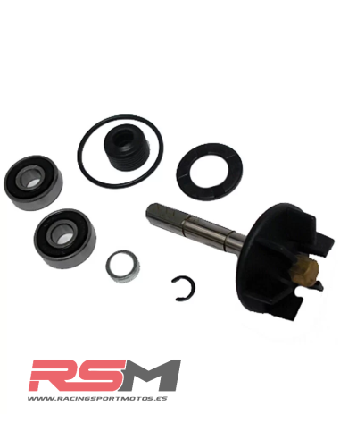 KIT REPARACIÓN BOMBA AGUA PIAGGIO/APRILIA/GILERA 50