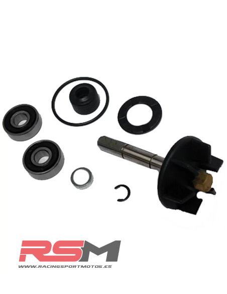 KIT REPARACIÓN BOMBA AGUA PIAGGIO/APRILIA/GILERA 50