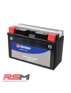 copy of BATERIA BTX12-BS