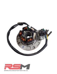ENCENDIDO MOTOR YX