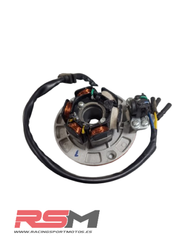 copy of ENCENDIDO COMPLETO MOTOR YX