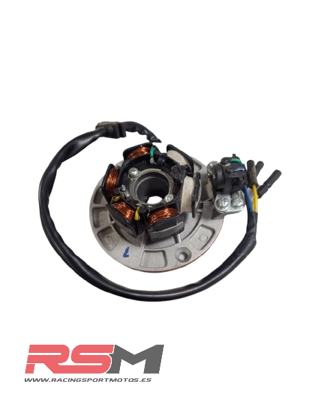 ENCENDIDO MOTOR YX