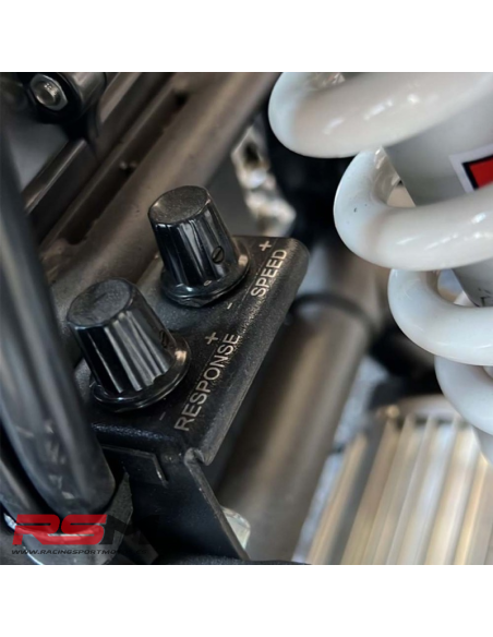 MINIMOTO ELECTRICA E-SX 48V 1600W IMR 10/10 MOTARD
