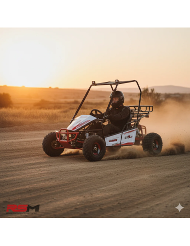 copy of BUGGY INFANTIL 125CC 4T BIPLAZA (Rojo)