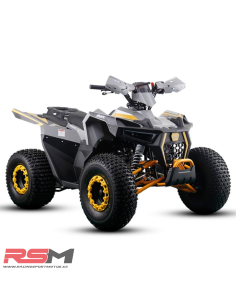 copy of MINIQUAD IMR WR3 VENOM 125CC 3+R