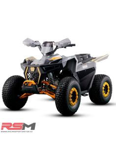 copy of MINIQUAD IMR WR3 VENOM 125CC 3+R 2