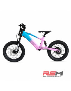 BICICLETA ELECTRICA 18" 550W NEON 2
