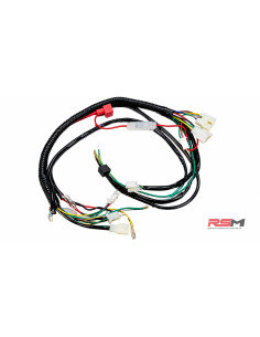INSTALACION MOTOR ZS 190 ENCENDIDO ORIGEN