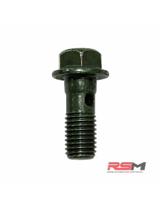 TORNILLO RACOR ACEITE M10x22mm