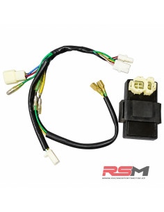 CDI + CABLEADO MOTOR Z190 (DESMONTADO DE MOTO NUEVA)
