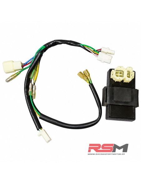 CDI + CABLEADO MOTOR Z190 (DESMONTADO DE MOTO NUEVA)