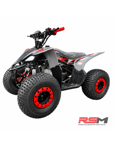 copy of MINIQUAD IMR WR3 VENOM 125CC 3+R