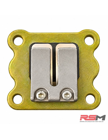 CAJA DE LÁMINAS DE ADMISIÓN MINIMOTO 49CC 2T