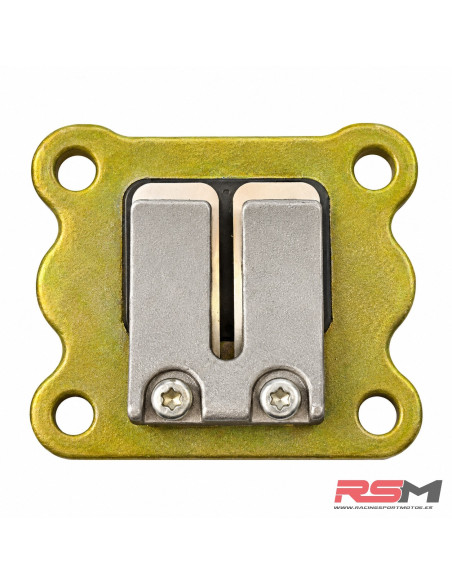 CAJA DE LÁMINAS DE ADMISIÓN MINIMOTO 49CC 2T