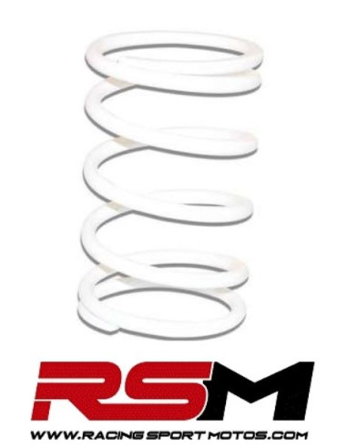 MUELLE DE POLEA CONDUCIDA GILERA RUNNER APRILIA PIAGGIO